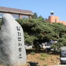향나무 - 함안군 | 향나무