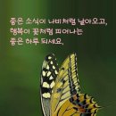 구례산수유축제 함께 응원 해요 여러분 따뜻한 응원 주인공 이신 버드리님 께 큰힘 됩니다 이미지