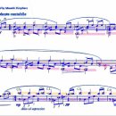 [1]Leo-Brouwer_Un Dia de Noviembre (11월의 어느날)-1968-Guitar 이미지