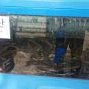 장미장여관 이미지