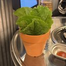 강동천호복싱다이어트 | [맛집 리뷰] 천호역 곱창 “화랑대곱창 강동천호점”