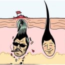 메슈왁싱