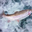 월산낚시터(월산저수지) 이미지