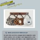 소잉에비뉴