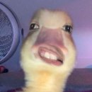 가내초등학교 | 2026 2월 아니이거하나를2주째쓰고잇다