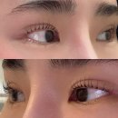 메가엠지씨커피광주첨단쌍암점 | 광주 광산구 첨단속눈썹펌 전문샵 유지력 확실한 블랑속눈썹 U컬 후기