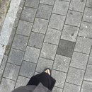 근이케이스 이미지