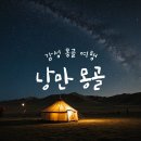 동그란 멍멍이 | 8월 몽골 여행 후기 1️⃣[feat. 지구놀이터]🌠