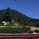 금계슈퍼민박 이미지