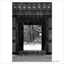 무한천어죽 이미지