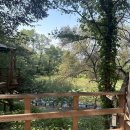 UR(안성시)-[너리굴길]-하-1 | 경기 안성 너리굴문화마을 카라반 숲9호 솔직후기