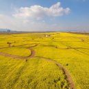 대저수문공원 이미지