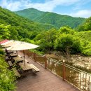 라비타키즈풀빌라 이미지