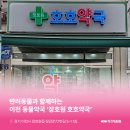 호호약국 - 은평구 서오릉로 139 | 호호약국