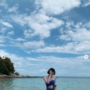 서지혜 카카오 검색결과