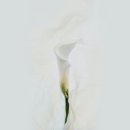 지리산한의원 이미지