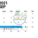 한끼담다 네이버블로그
