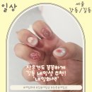 네일화색 이미지
