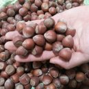 개량농장 이미지