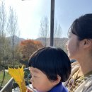 하운농장 이미지