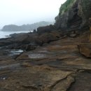 이디살래 이미지