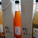 한국발효문화원 이미지