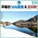 김창식효자문 이미지