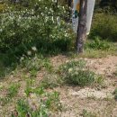 능주초등학교 이미지