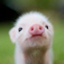 서희수산 이미지