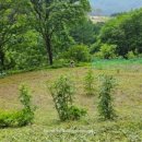 약수골 농장 이미지