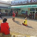 솔솔바람 이미지