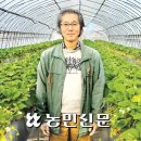 딸기 24개가 10만원?? 판매도 남다르게 하는 딸기 장인의 이야기 이미지