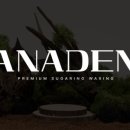 아나덴 슈가링왁싱 신용산역점 이미지