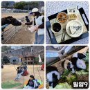 창밀로 | 밀양 아이와 가볼만한 곳 동물 먹이 체험 대형 카페 밀양 9