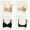 비너스와코루 이미지