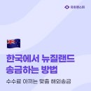 한국유학및무역 티스토리