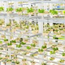 장미하우스 이미지