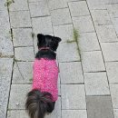 올미경로당 | 레옹이 할부지,조끼가 잘 어울리시네용😏