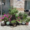 나래뷰티헤어 이미지