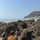 섬섬펜션 | 태안 신진항 가의도 가볼만한곳 해루질 섬 여행지 펜션 후기