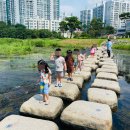 햇살자연어린이집 이미지