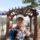 고랑포길 이미지