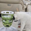 레옹푸드 이미지