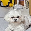 반자주 일광신도시점 이미지