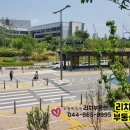 소담동_한국전력공사 앞 이미지