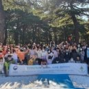 조산초등학교 이미지