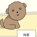 (주)마루다