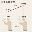 날로 지능화되는 피싱범죄자 잡히면 무조건 무기나 사형에처해야 한다 이미지