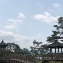 양산심천로 이미지