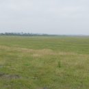 바다목장 이미지